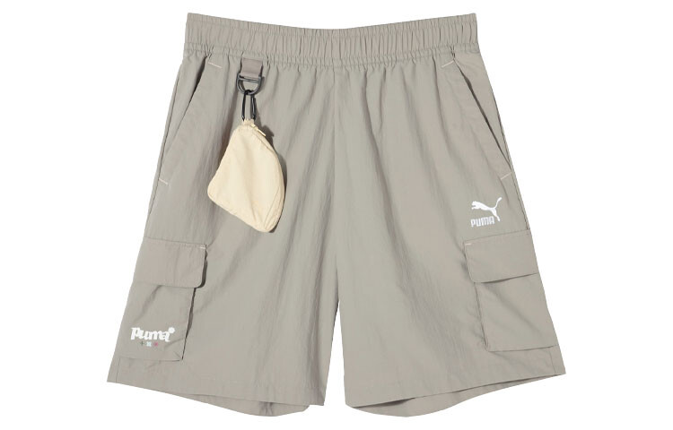 

Мужские повседневные шорты Puma, цвет Birch green