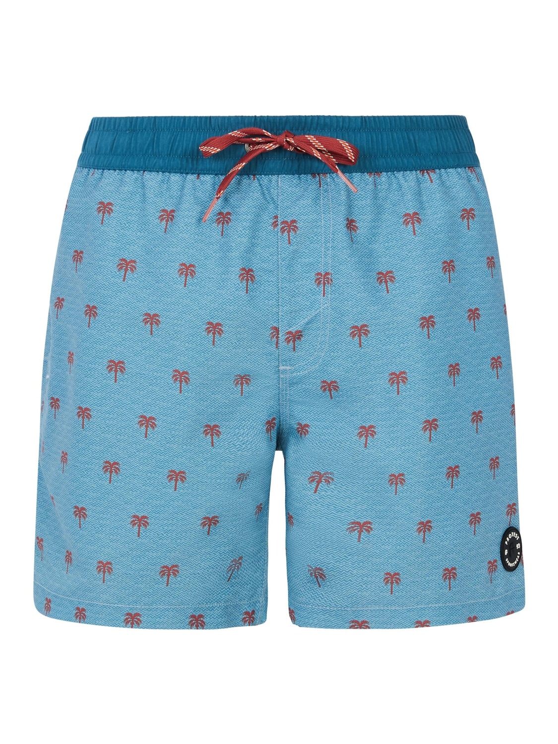 

PROTEST Шорты для серфинга 'PRTParco' в синем цвете