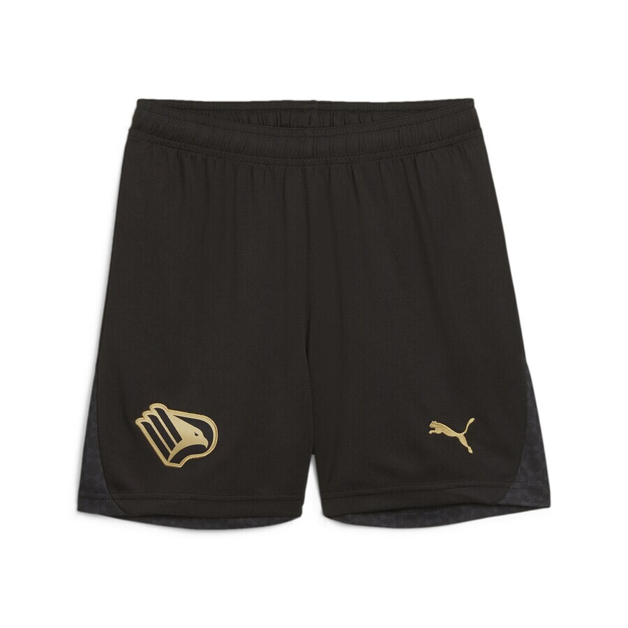 

Брюки PUMA Regular Workout Pants Palermo F.C. 24/25, черный