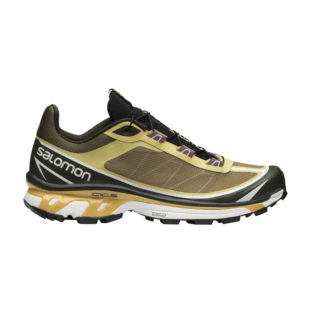 

Кроссовки XT-6 FT Salomon, коричневый