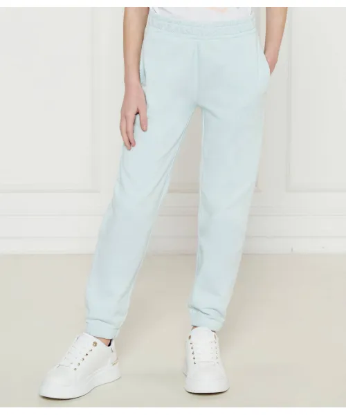 

Спортивные штаны Regular fit Guess, синий