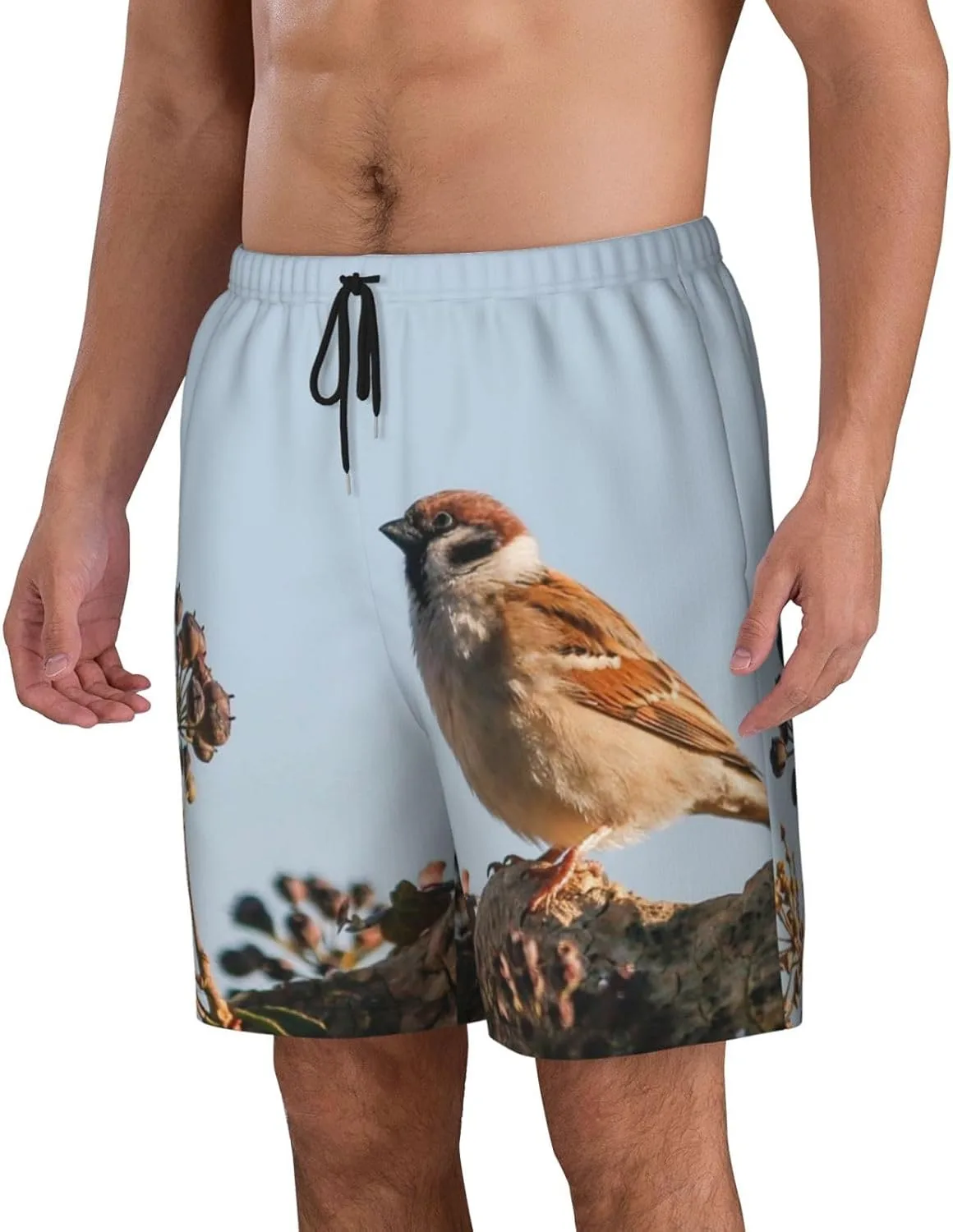 Мужские пляжные шорты Bird Sparrow, мужские плавки, пляжные шорты с карманами, купальники Generic, черный — фото 2