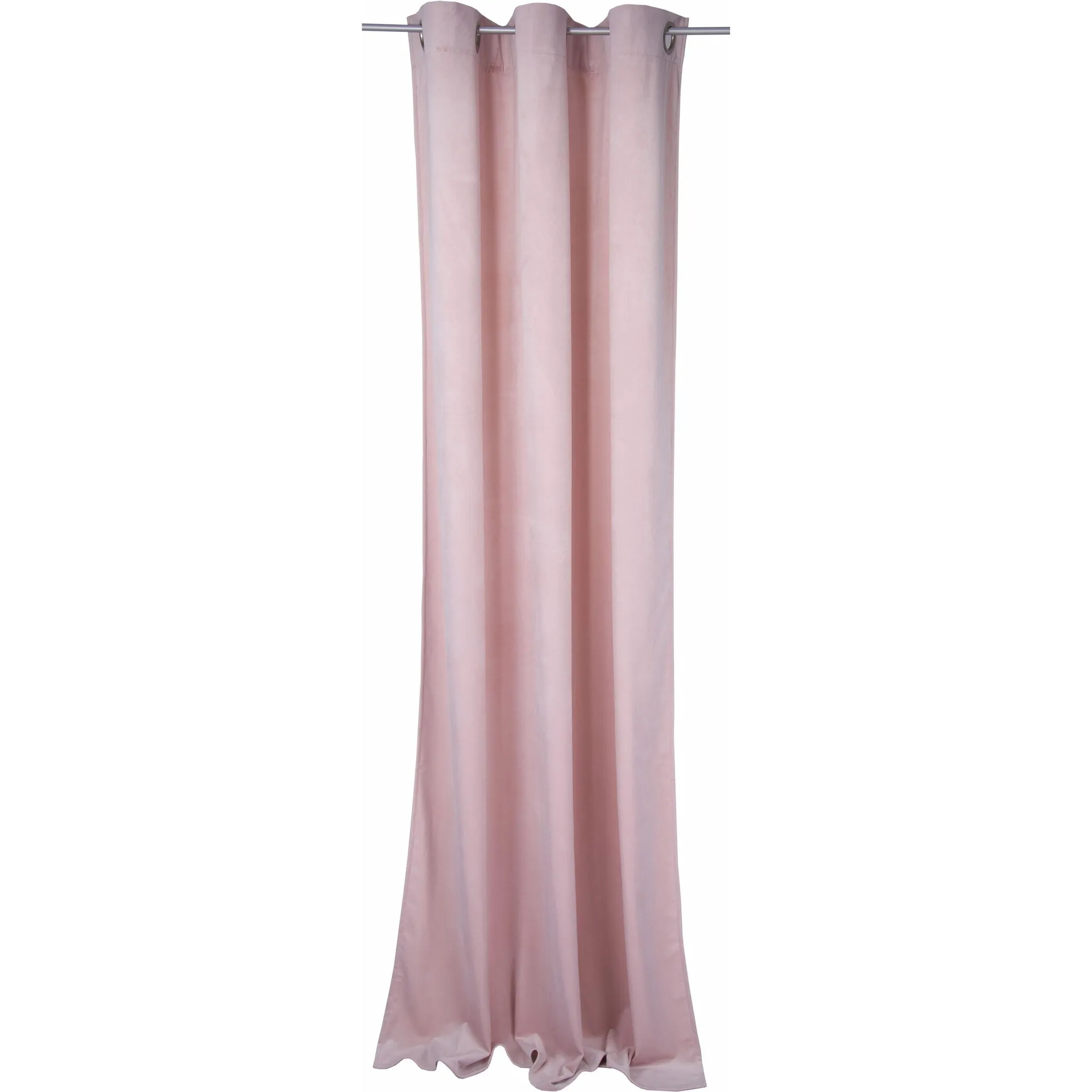 

TOM TAILOR HOME Гардина «ФРАНЦУЗСКИЙ БАРХАТ», (1 шт.), ВxШ: 245x135, цвет rosé
