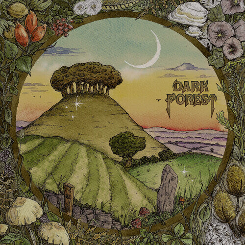

Виниловая пластинка Dark Forest: Ridge & Furrow