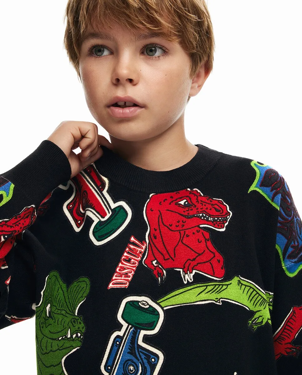 

Толстовка с динозавром для мальчика Desigual, черный