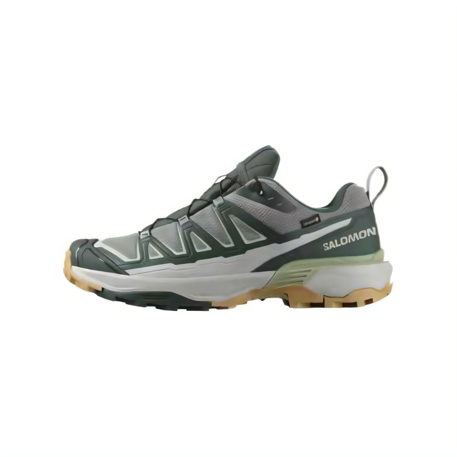 

SALOMON Мужские кроссовки X ULTRA 360 Low Top, зеленые