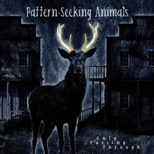

Виниловая пластинка Pattern-Seeking Animals: Only Passing Through