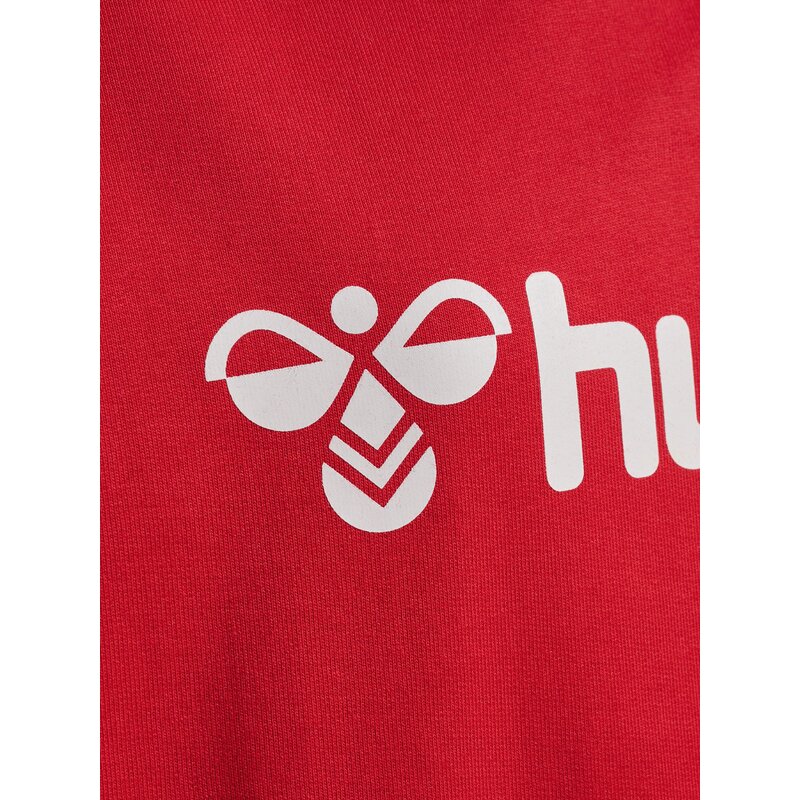 Детская толстовка с логотипом Kapuzensweat hmlgo 2.0 Hummel, красный — фото 4