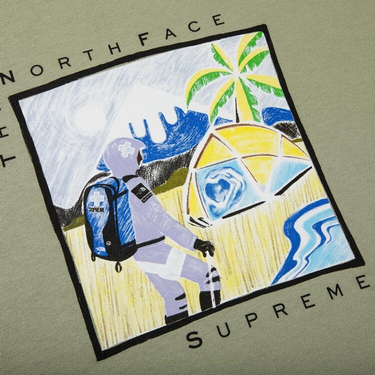 Футболка Supreme x The North Face Sketch Short-Sleeve Top 'Sage', зеленый — фото 3