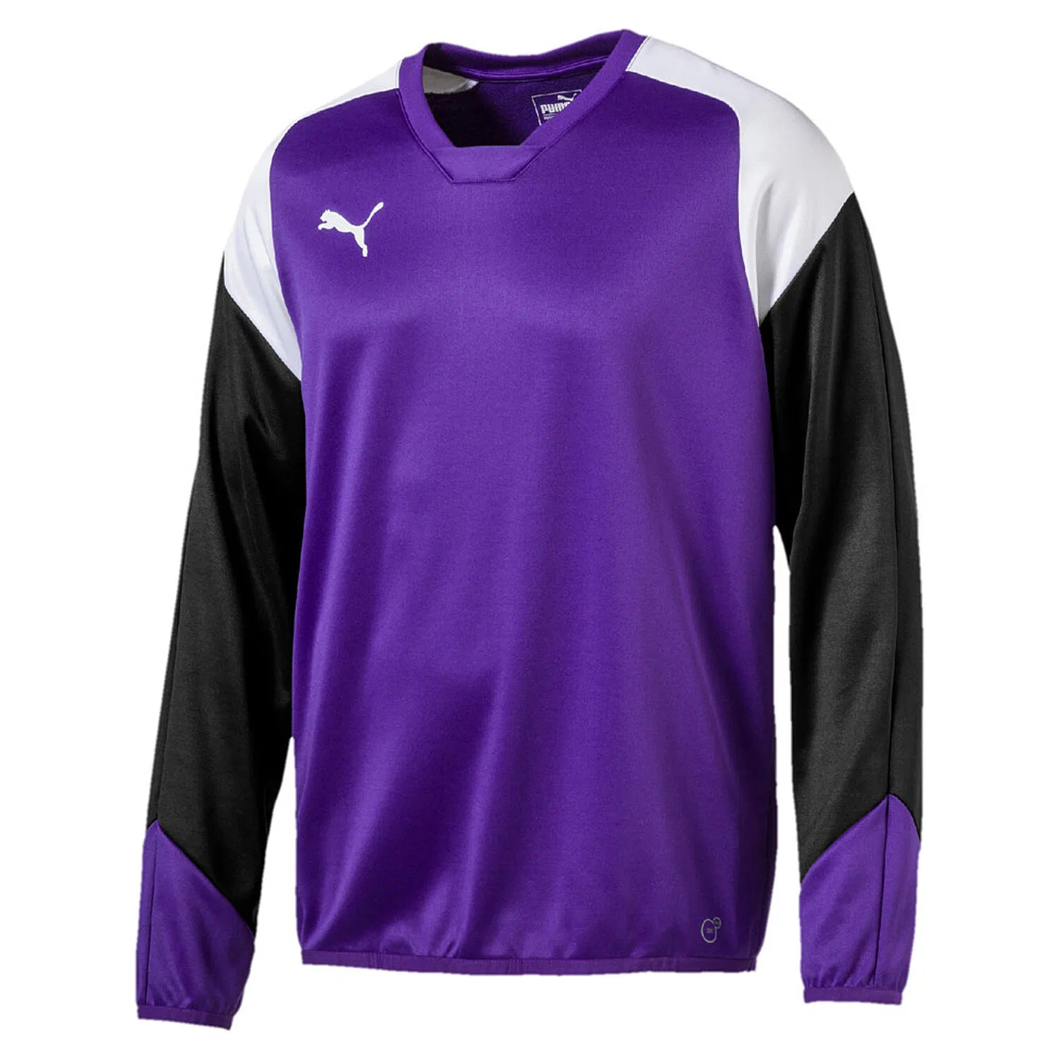 Детский пуловер Esito 4 Training Sweat Puma, Royal Purple / Black