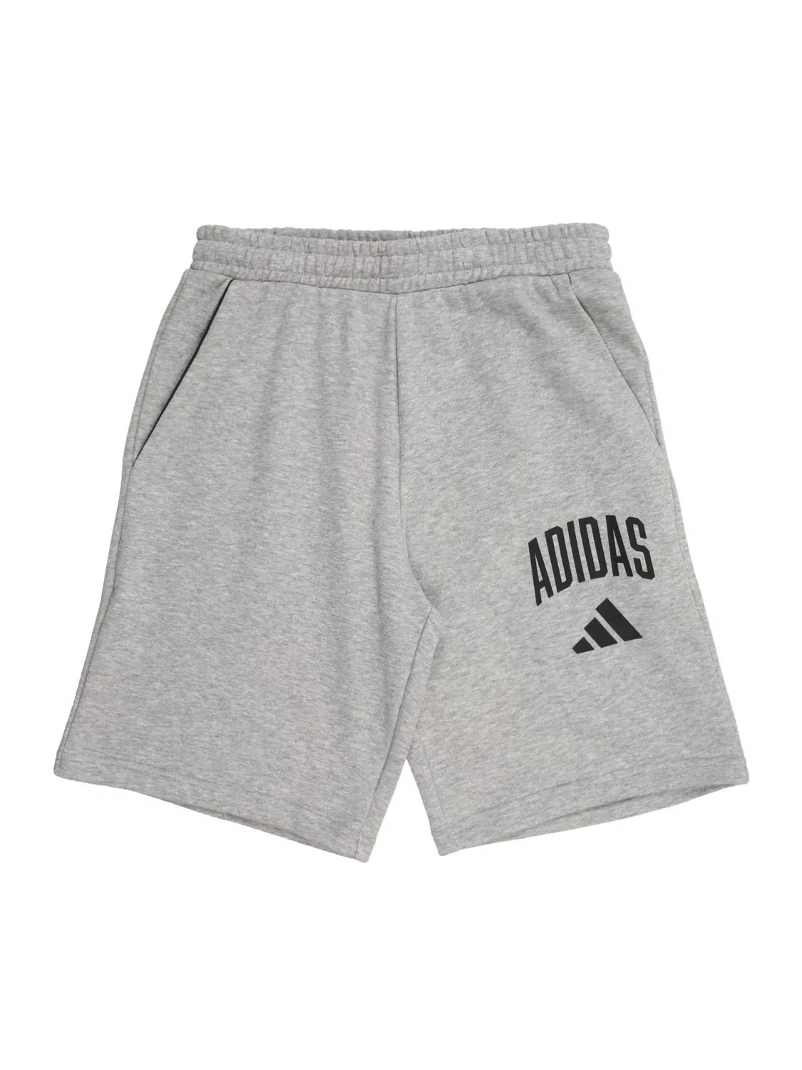Спортивные шорты Adidas Sportswear свободного кроя Seasonals Collegiate, серый