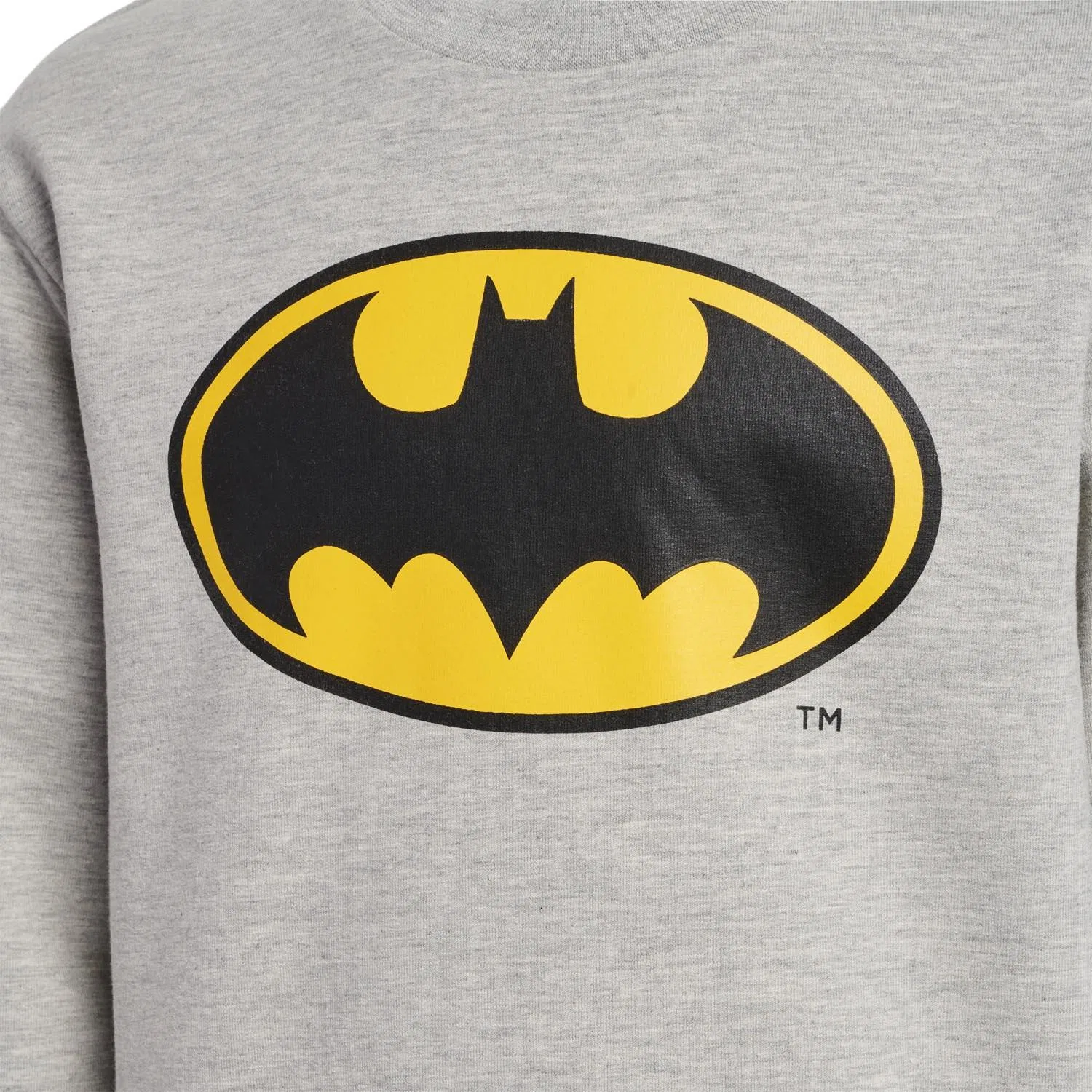 Детский свитшот с принтом hmlBatman Dos Hummel, Grau — фото 4