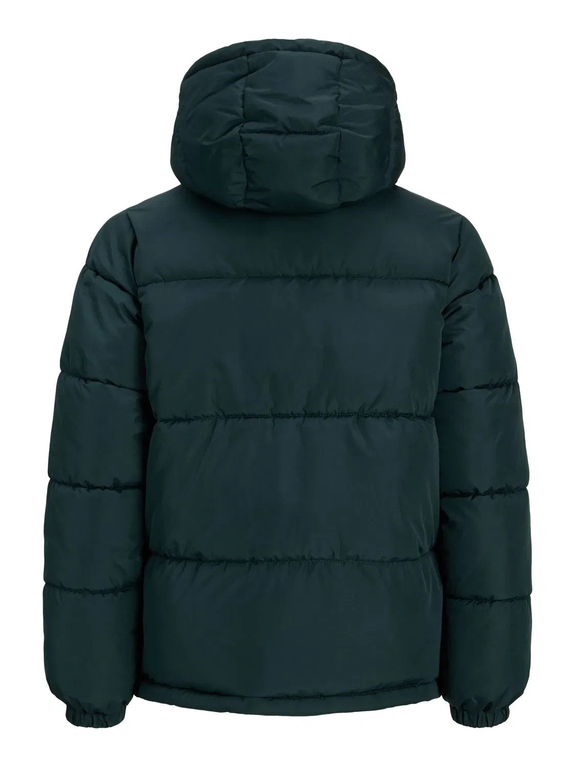 Стеганая куртка с принтом Magical Forest Jack & Jones Junior, зеленый — фото 2