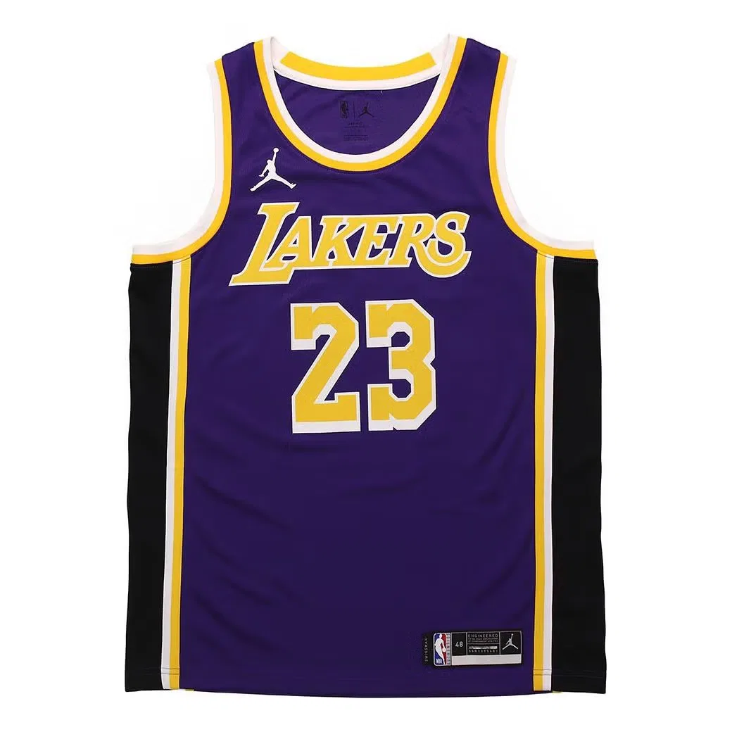 Футболка-джерси баскетбольная с принтом Los Angeles Lakers LeBron James Jordan, фиолетовый