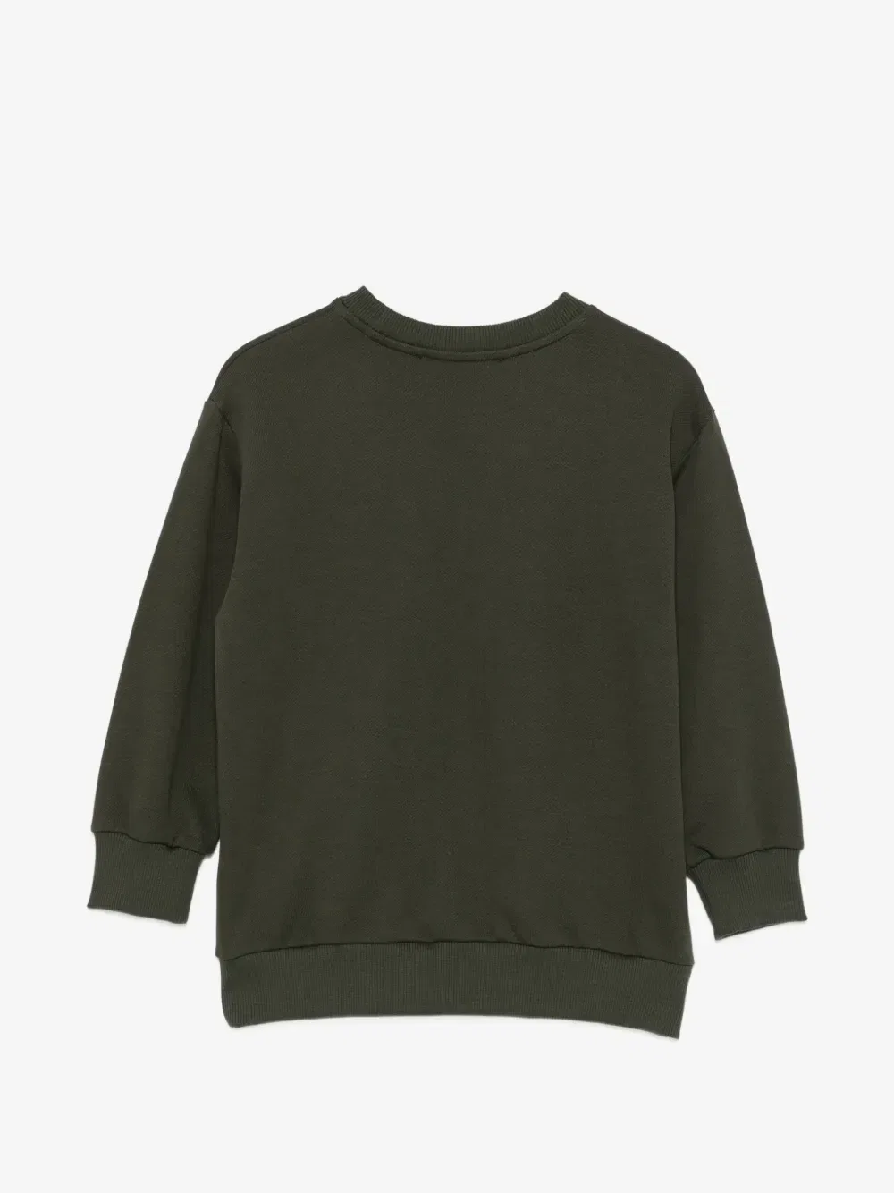 Толстовка с вышивкой логотипа Pegaso ETRO KIDS, зеленый — фото 2