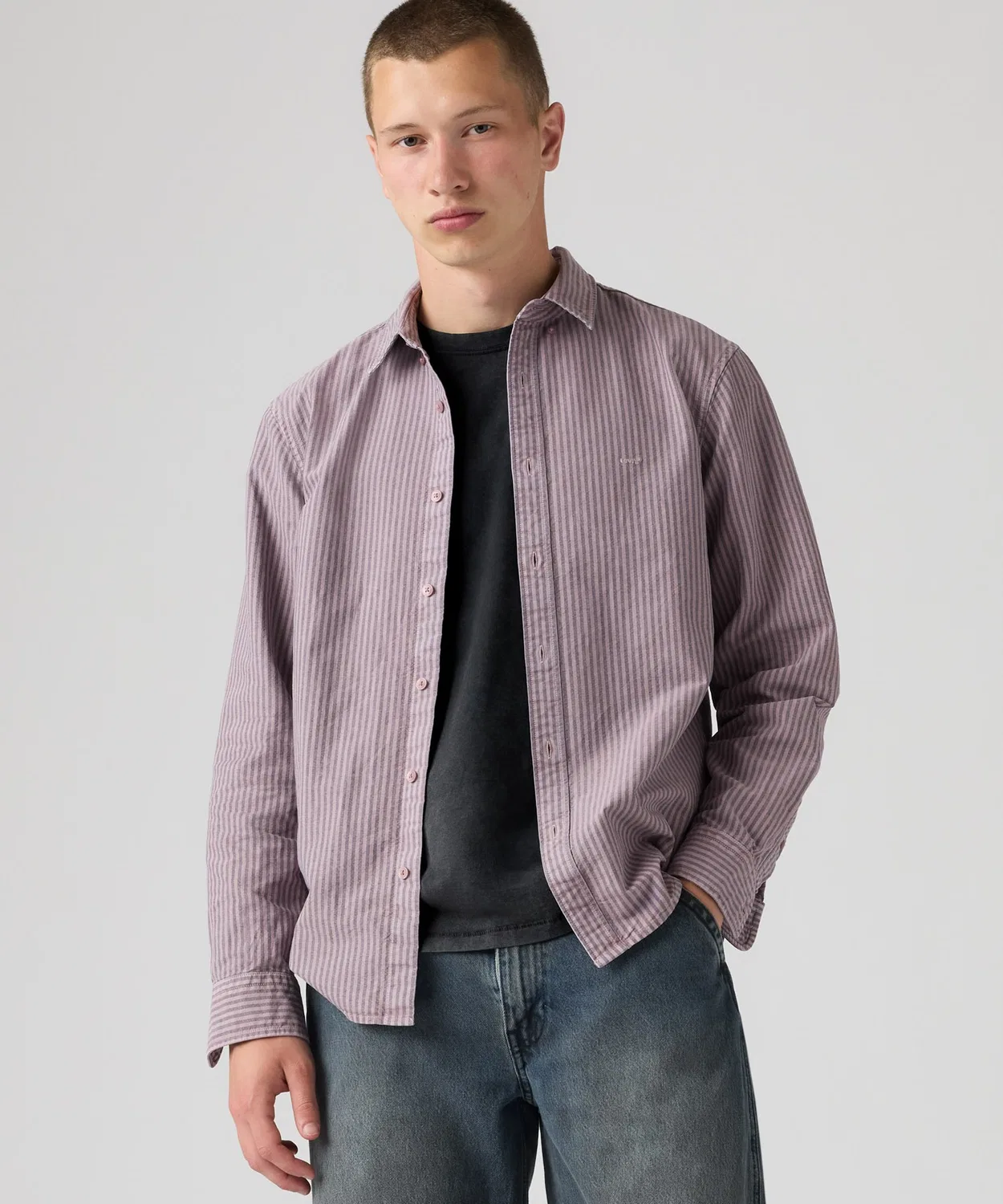 Мужская рубашка с длинным рукавоми принтом в полоску, модель Authentic Button Down Levi's, Purple