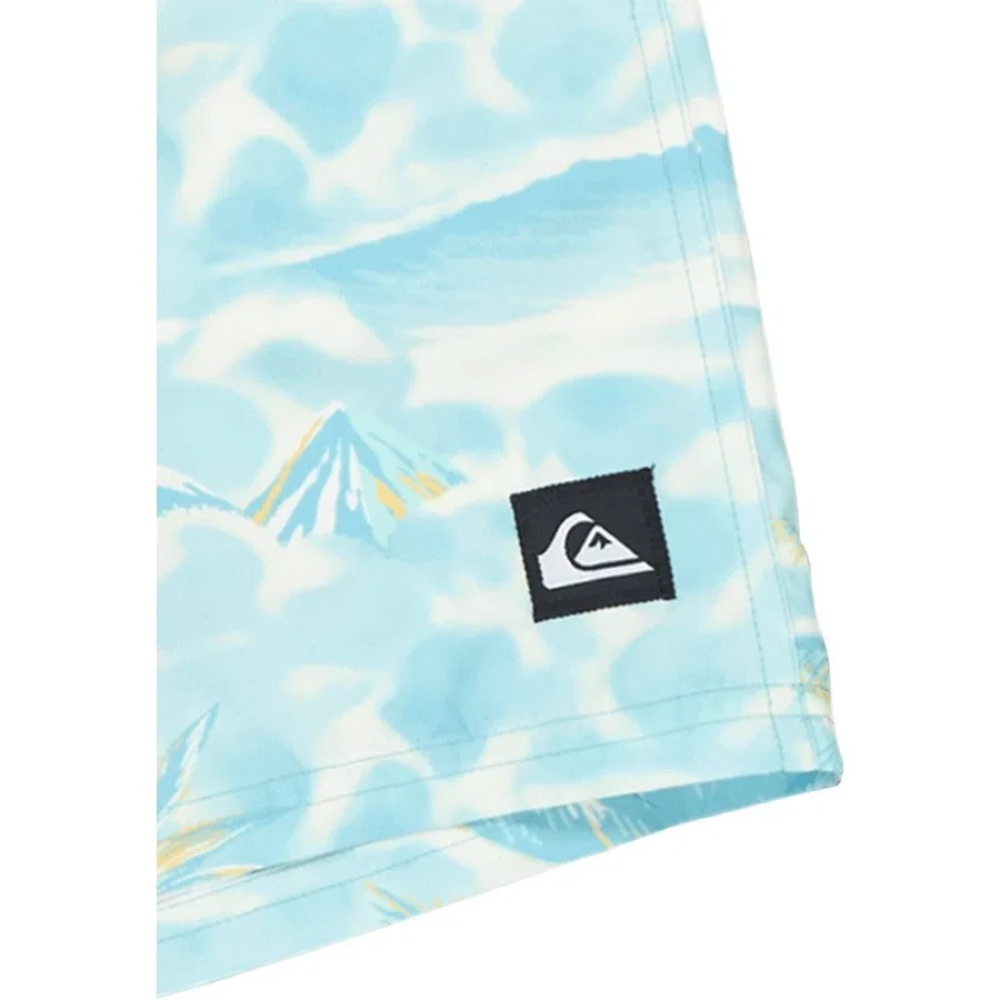 Плавки для мальчиков с принтом Quiksilver, Черный — фото 3