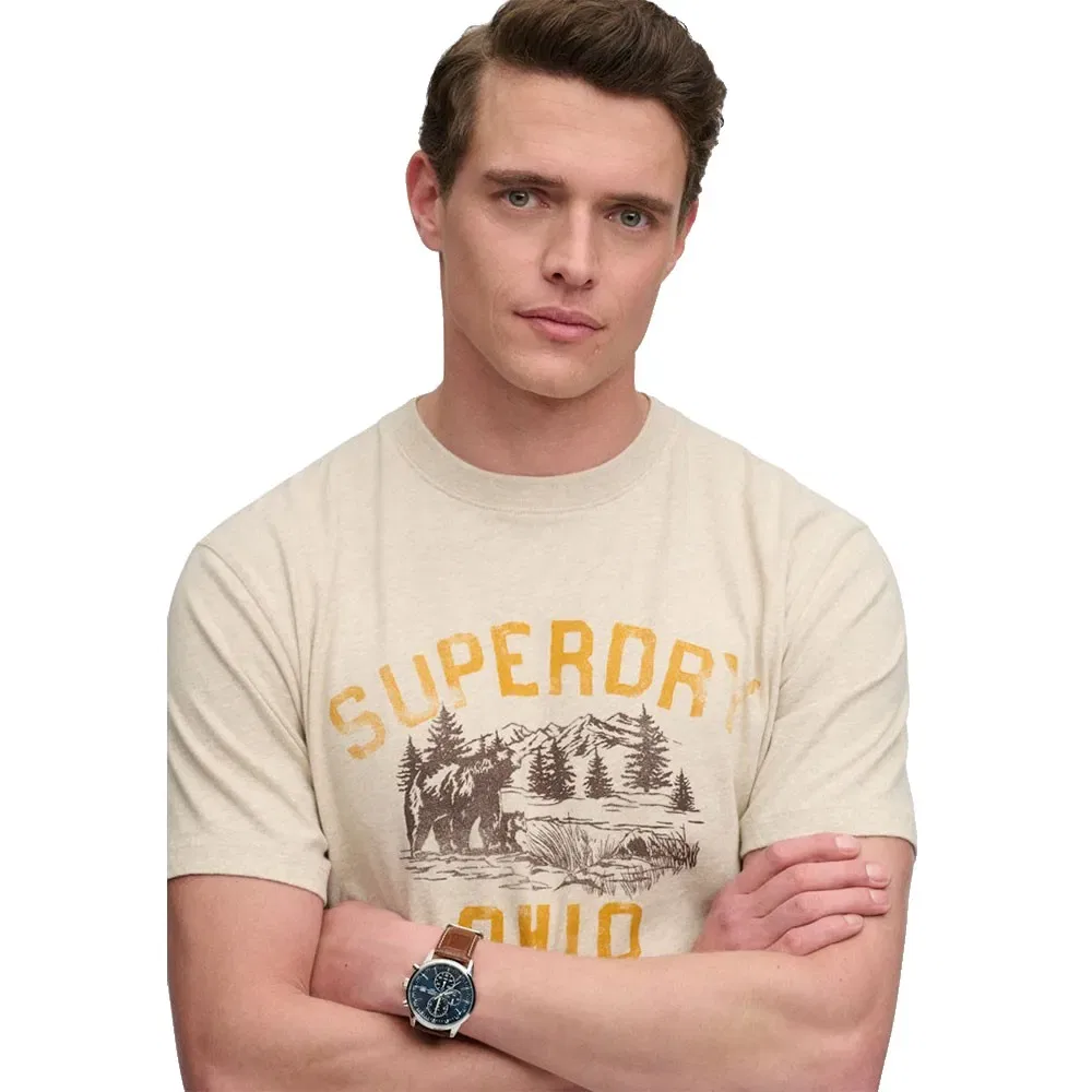 Мужская футболка свободного кроя Wild Frontier Superdry, Beige — фото 3