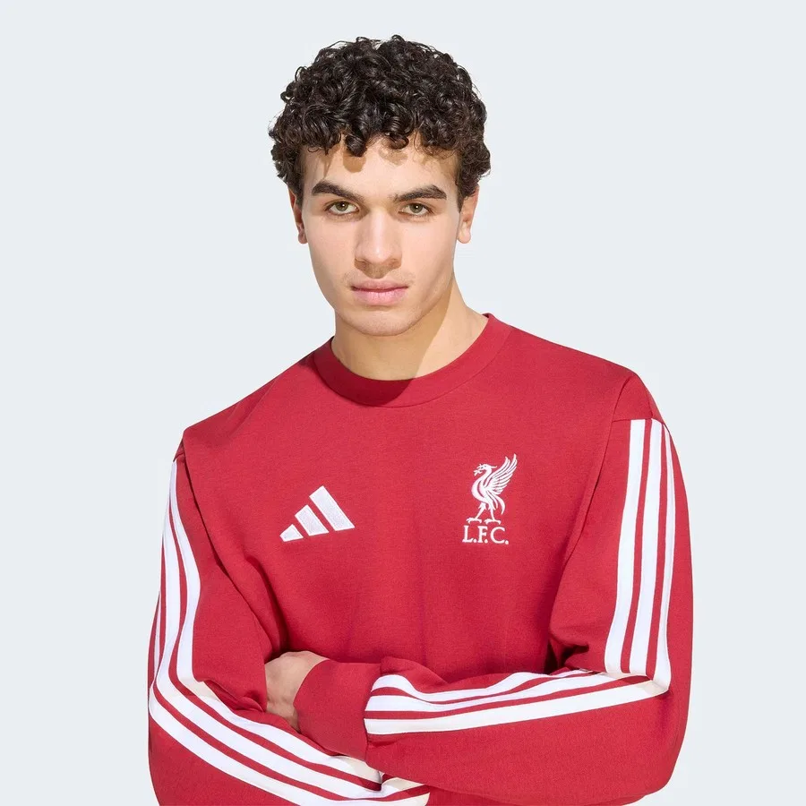 Мужской свитшот adidas Liverpool FC DNA с принтом, Красный — фото 4