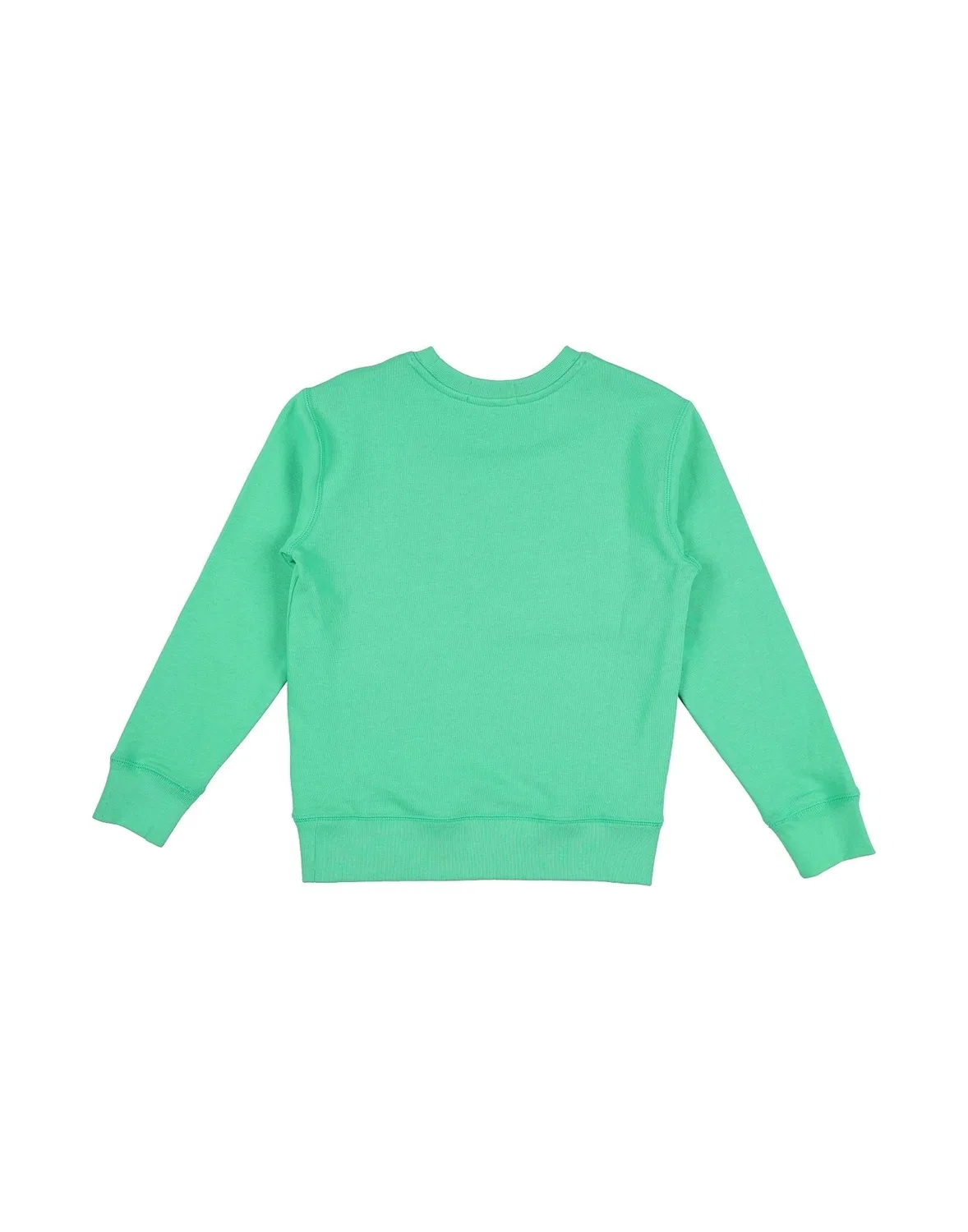Детский свитшот для мальчиков с вышивкой Logo French Terry Sweatshirt Polo Ralph Lauren, зеленый — фото 2