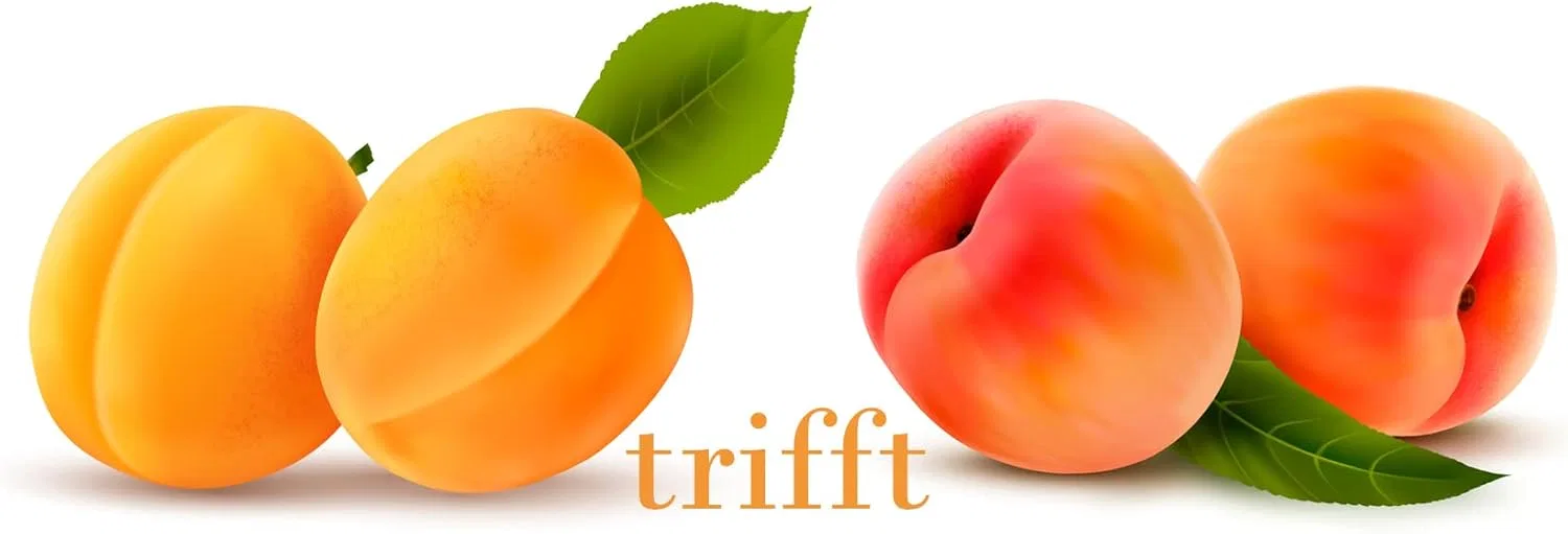 Гель для душа Apricot Peach, KaiserRein professional, 10 л — фото 2