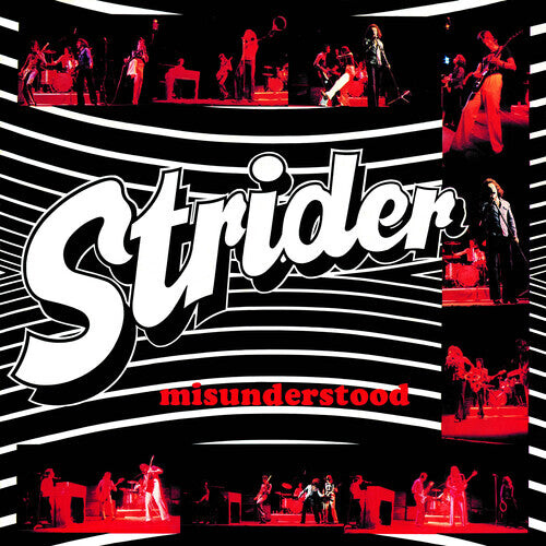 

CD диск Strider: Misunderstood