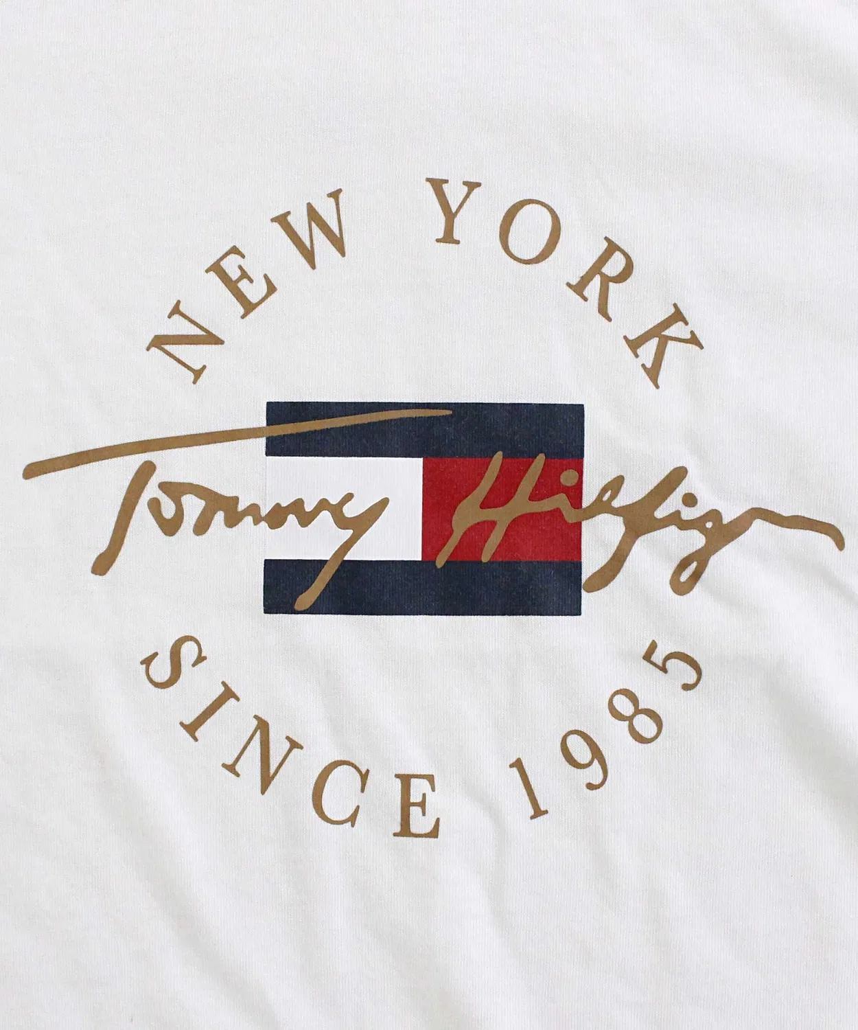 Мужская футболка с круглым вырезом и принтом Circle Logo TOMMY HILFIGER, Navy — фото 4