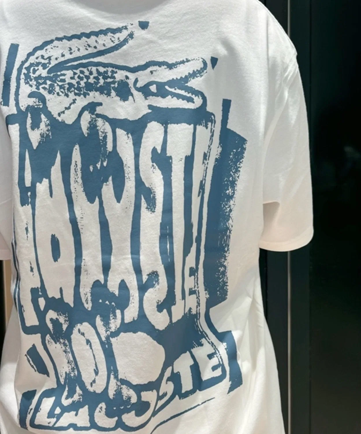 Мужская футболка с принтом Stencil Back Print LACOSTE, Dark Blue — фото 2