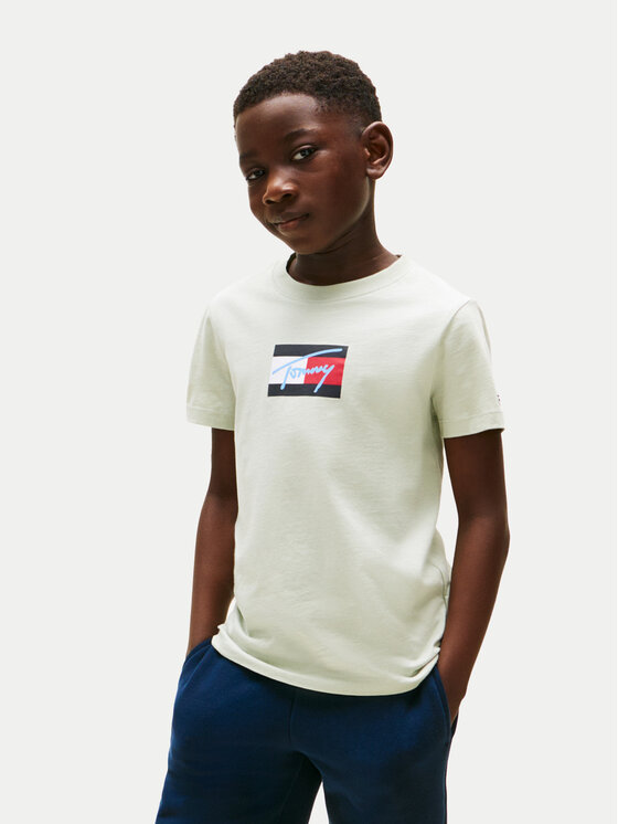 

Футболка обычного кроя Script Flag KB0KB09725 Tommy Hilfiger, зеленый