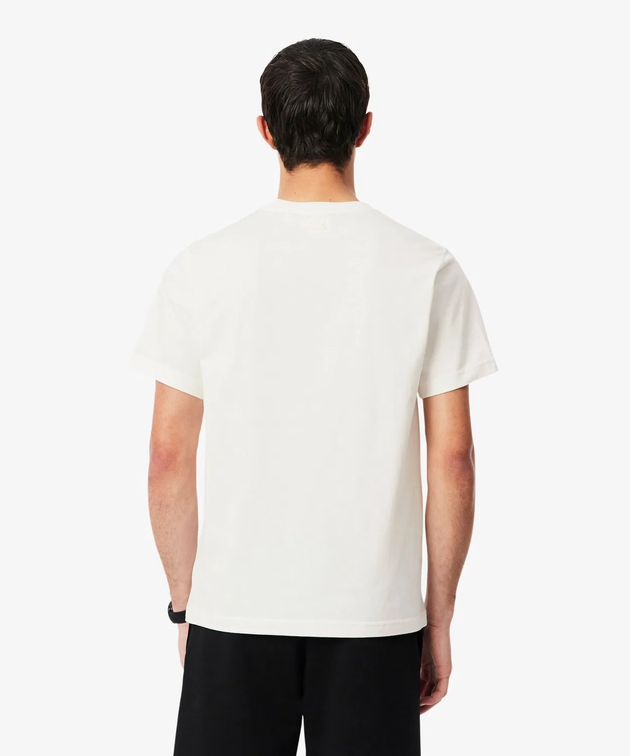 Мужская футболка с принтом Classic Fit LACOSTE, Серый — фото 4
