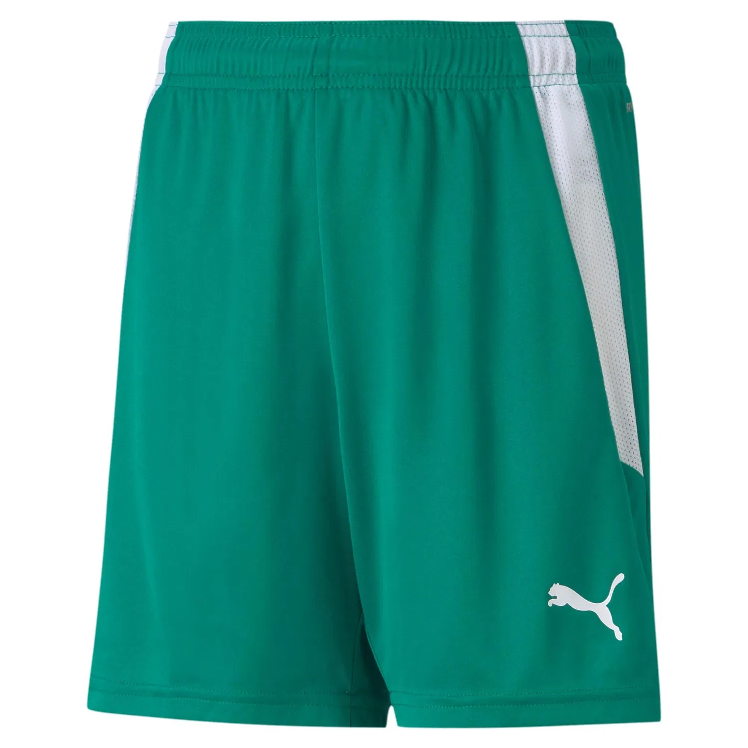 Детские шорты с принтом teamLIGA Shorts Jr Puma, Alpingrun Weiß