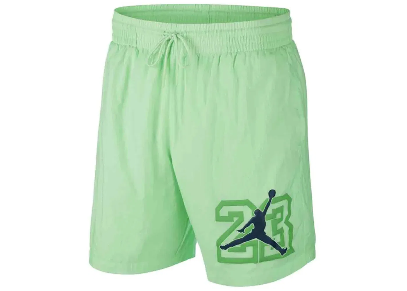 Мужские шорты с принтом Jordan Legacy AJ13 Nike, Illusion Green