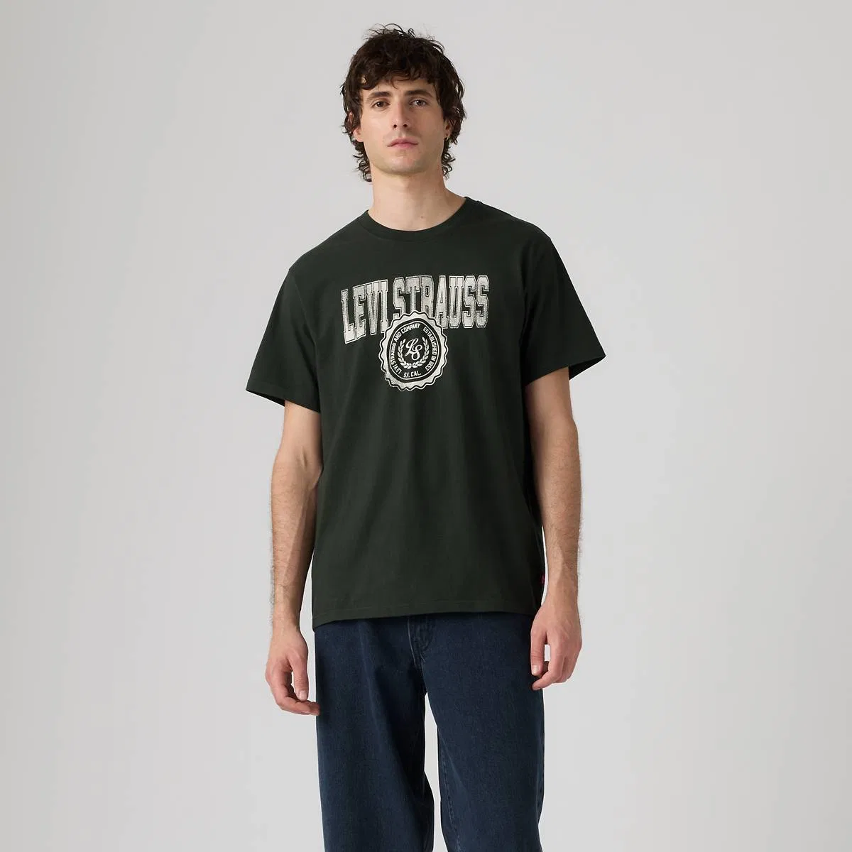 Свободная футболка с коротким рукавом и графическим принтом Levi's, Ls & Co Rosin - Green — фото 3