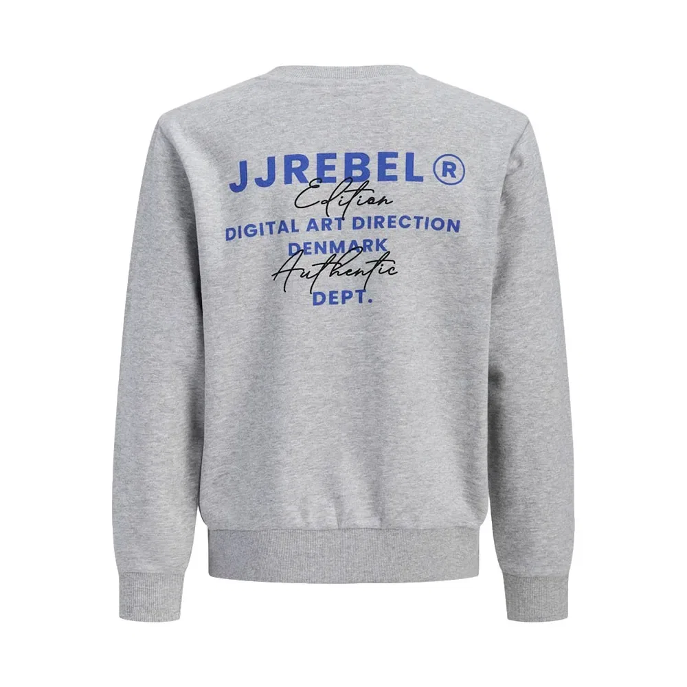 Свитшот Hayden Jack & Jones, серый — фото 4