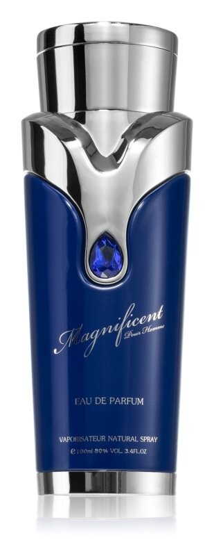 

Парфюмерная вода Armaf Magnificent Blue Pour Homme, 100 мл