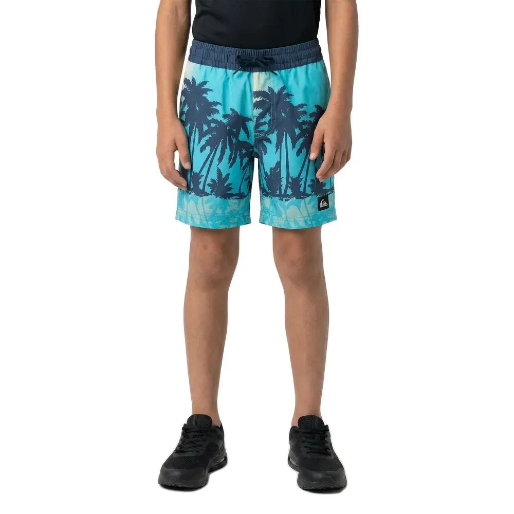 Плавки Everyday Printed Volley 13´´ Quiksilver, синий — фото 3