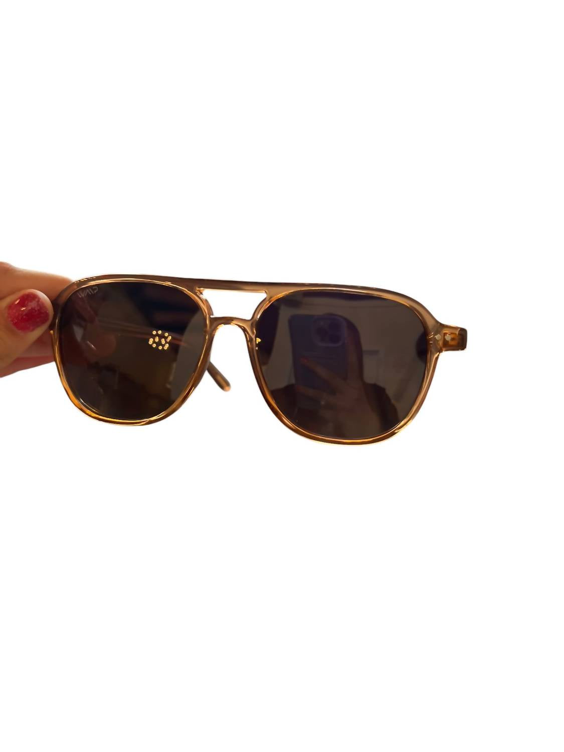 

Женские солнцезащитные очки Hayden в Brw/brw WMP Eyewear