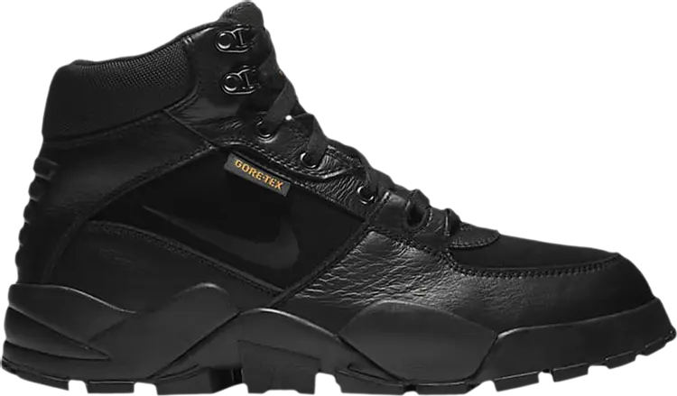 

Ботинки Nike Rhyodomo Gore-Tex 'Black Anthracite', черный