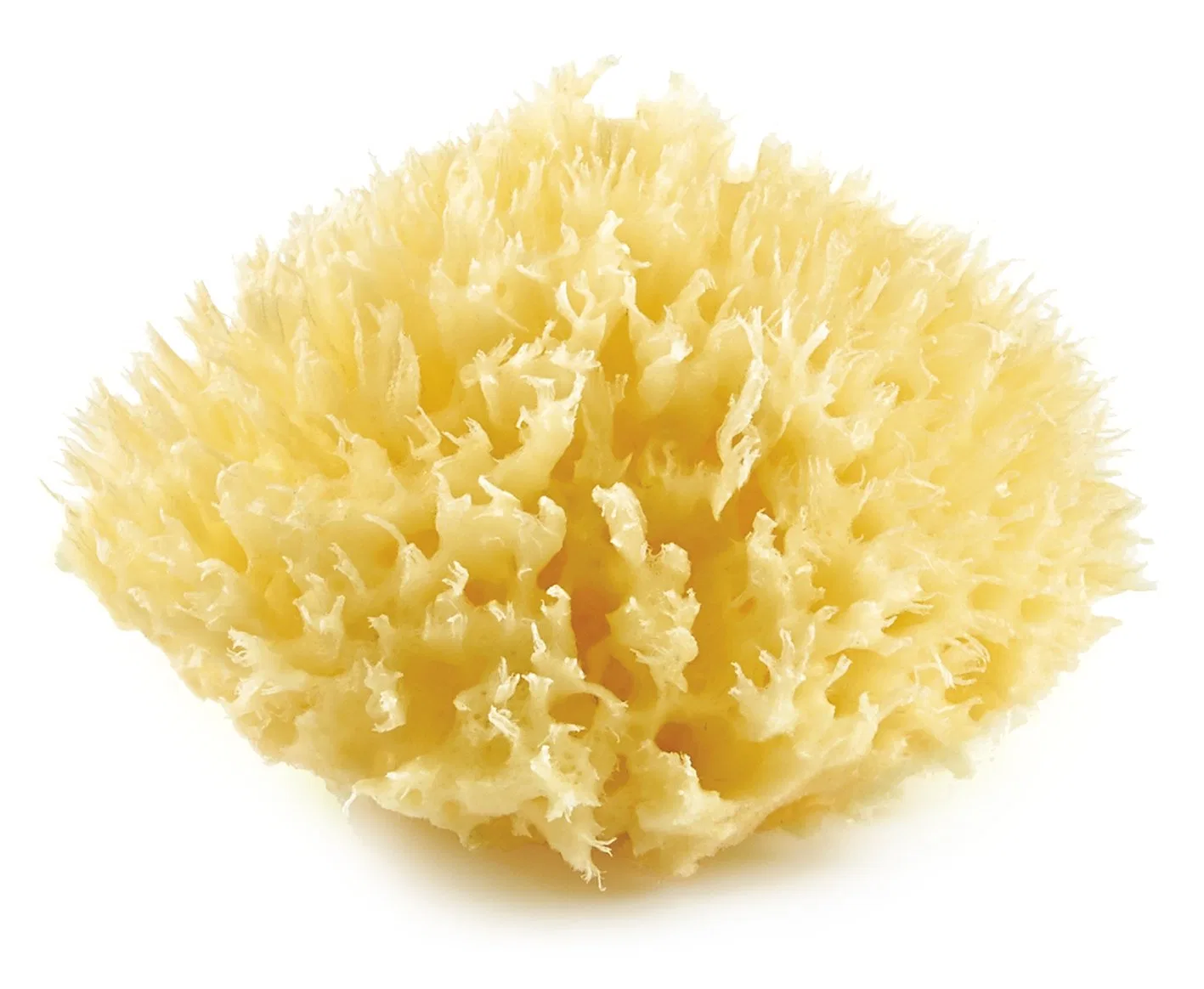 Губка Honeycomb Sea Sponge для детей Thermobaby, 10 см, Beige