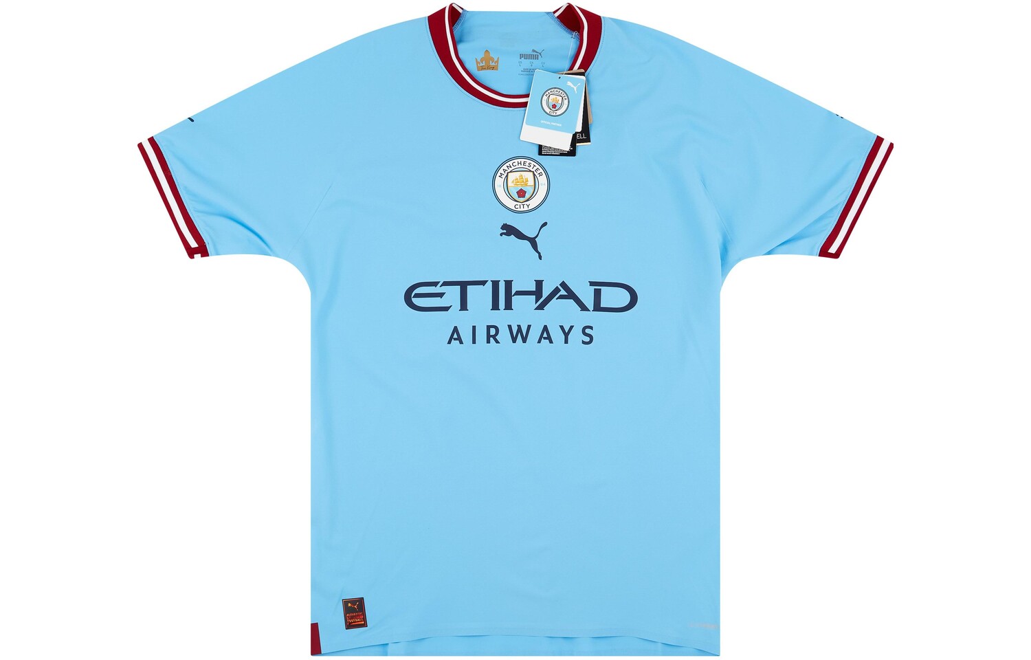 

Футболка мужская Manchester City синяя Puma, синий