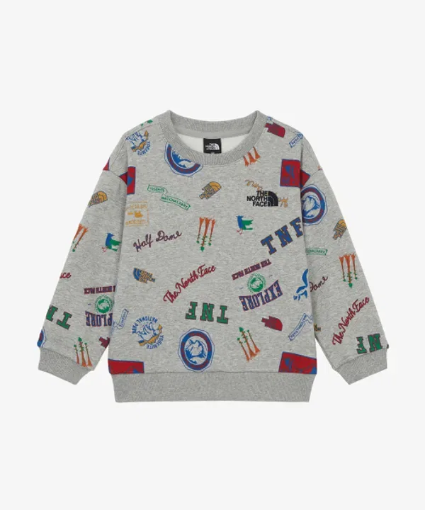 Свитшот детский с принтом Wild Patch, The North Face Kids, меланжевый