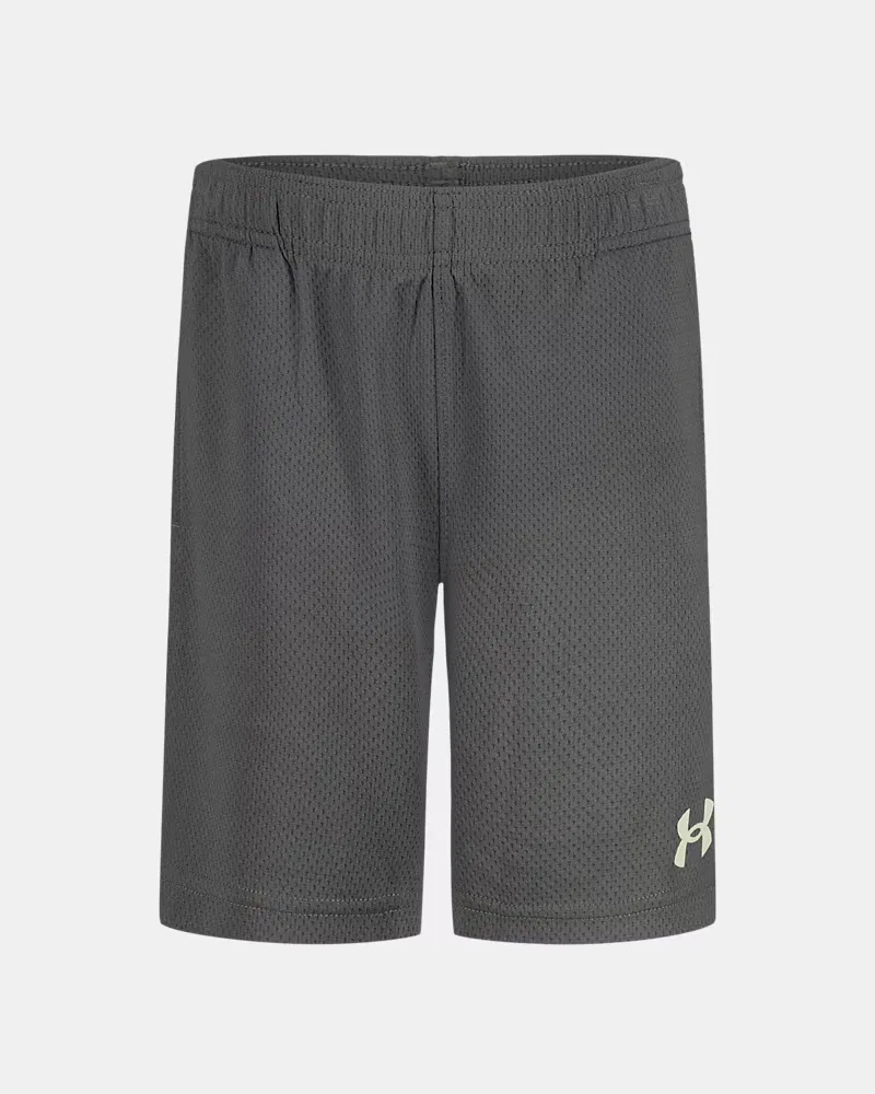 Шорты детские для мальчиков из плотной дышащей сетки UA Tech Wordmark UnderArmour, Castlerock