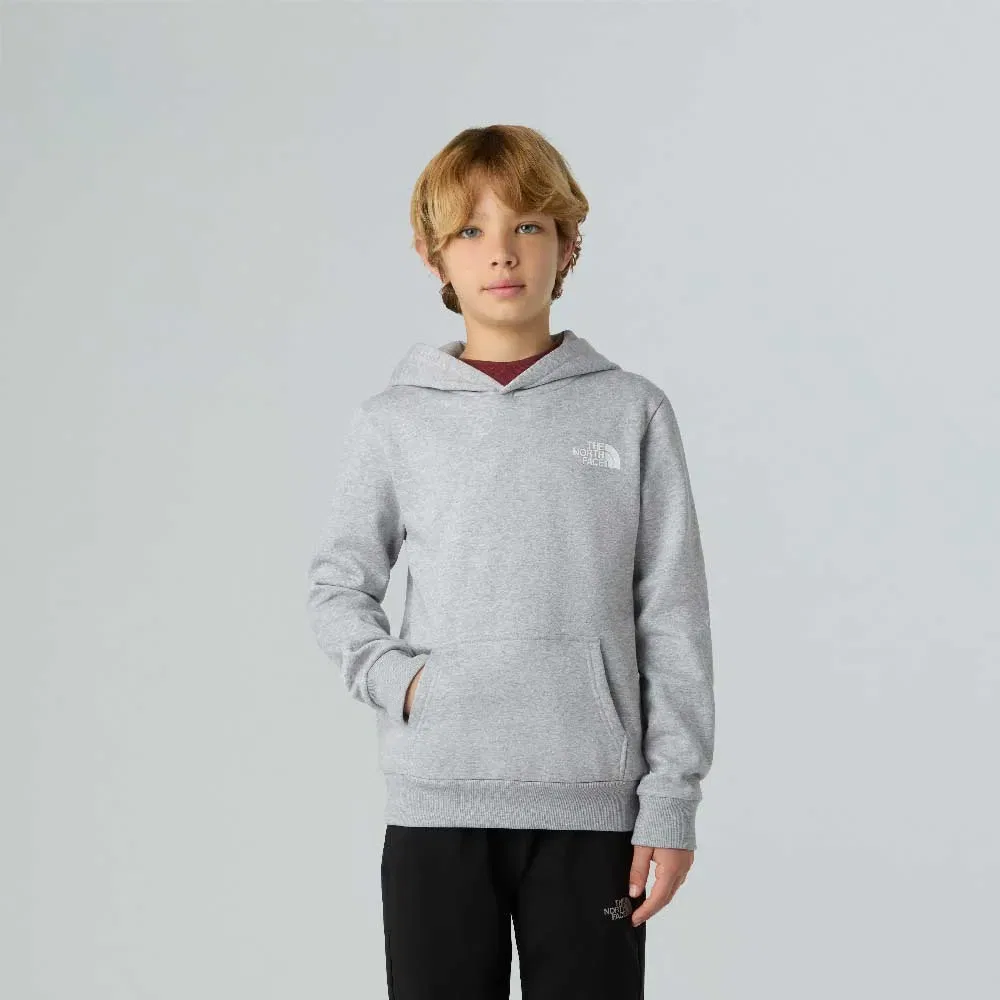 Детская худи для мальчиков Simple Dome Hoodie The north face, Grey — фото 4