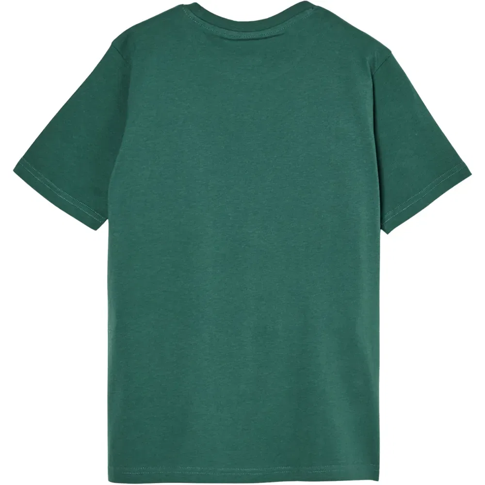 Детская футболка для мальчиков с коротким рукавом Quiksilver, Green — фото 2