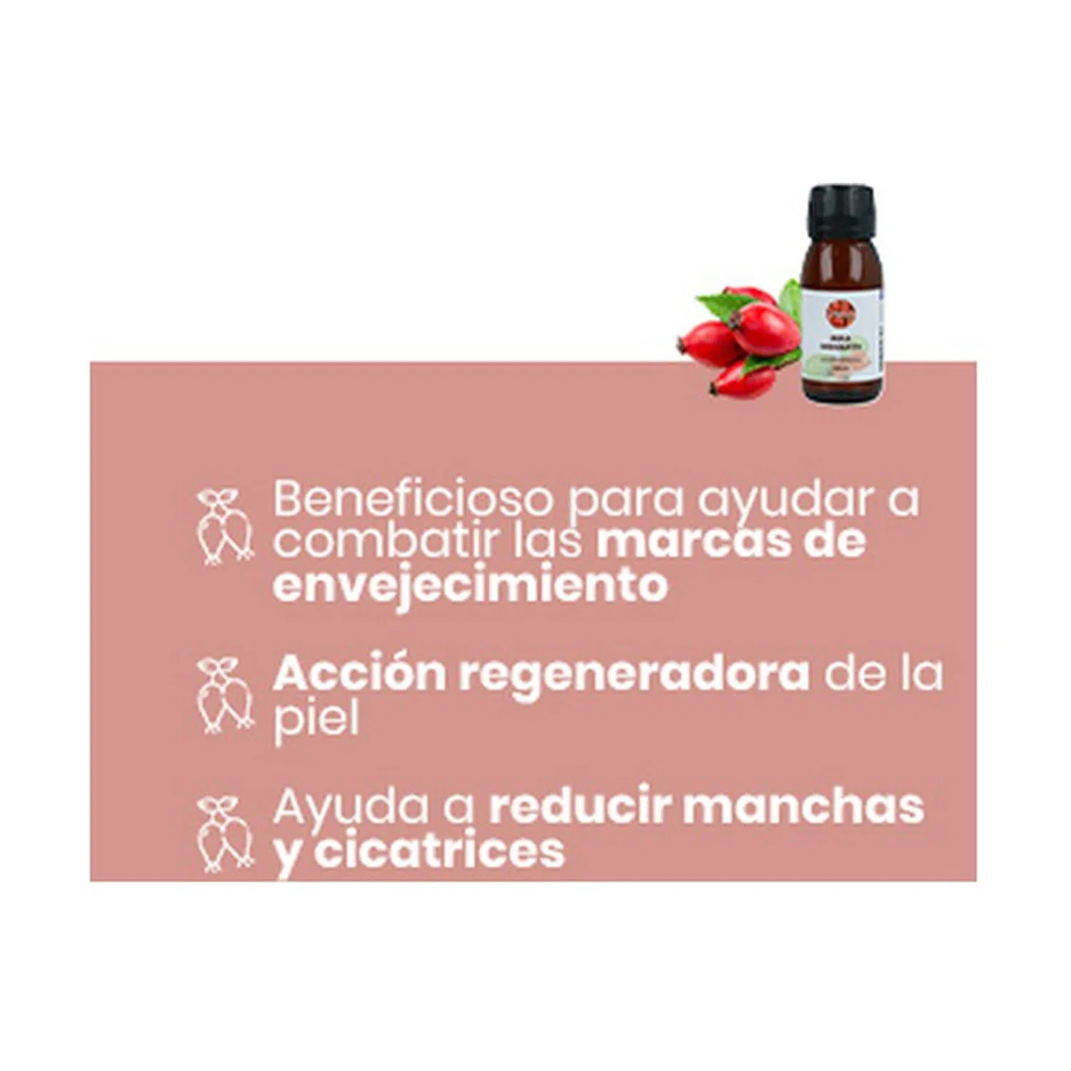Масло для тела Rosehip Plant Oil Naturitas, 60 мл — фото 3