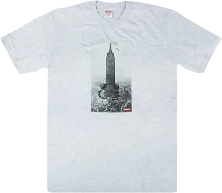 

Футболка Supreme Mike Kelley The Empire State Building T-Shirt 'Ash Grey', серый