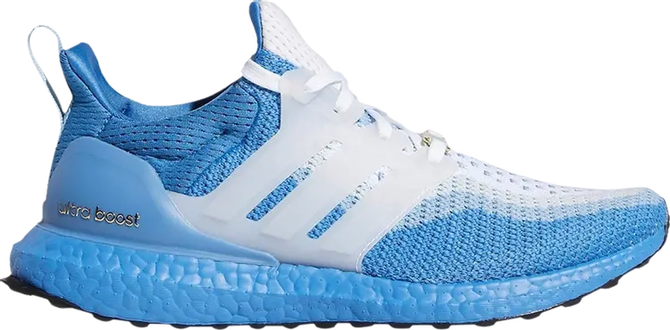 Кроссовки Adidas Katie Ledecky x Wmns UltraBoost 2.0 DNA 'Focus Blue', синий
