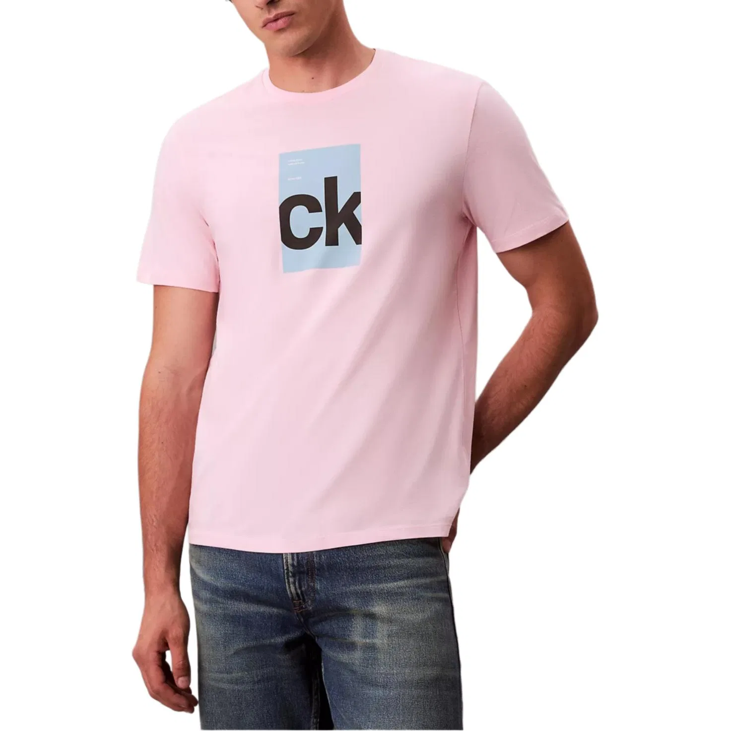Футболка мужская Rose с круглым вырезом Calvin Klein — фото 2