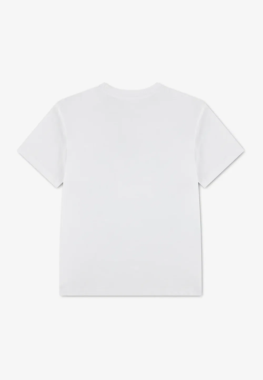 Tapout - футболка с принтом Jordan, White — фото 2