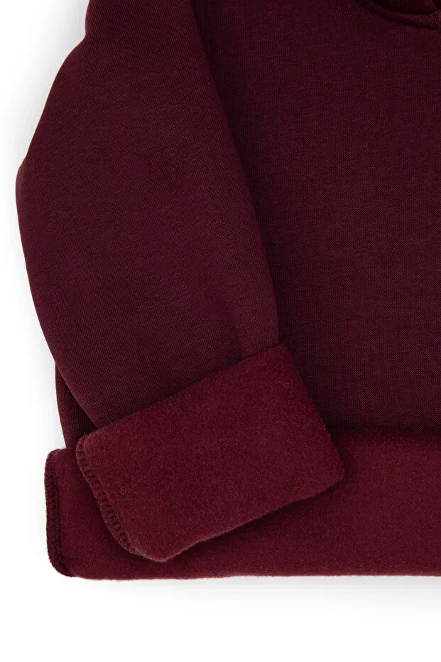 Детское худи для мальчиков с капюшоном U.S. Polo Assn., Plum — фото 3